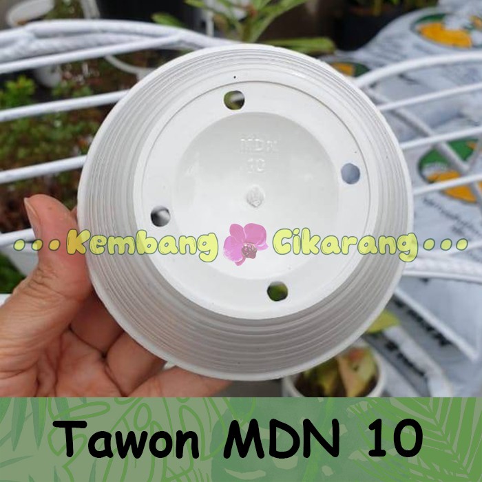 (LUSINAN) MDN TAWON UK 10 (10cm) (12pcs) Pot bunga model tawon kecil mungil murah cantik warna warni