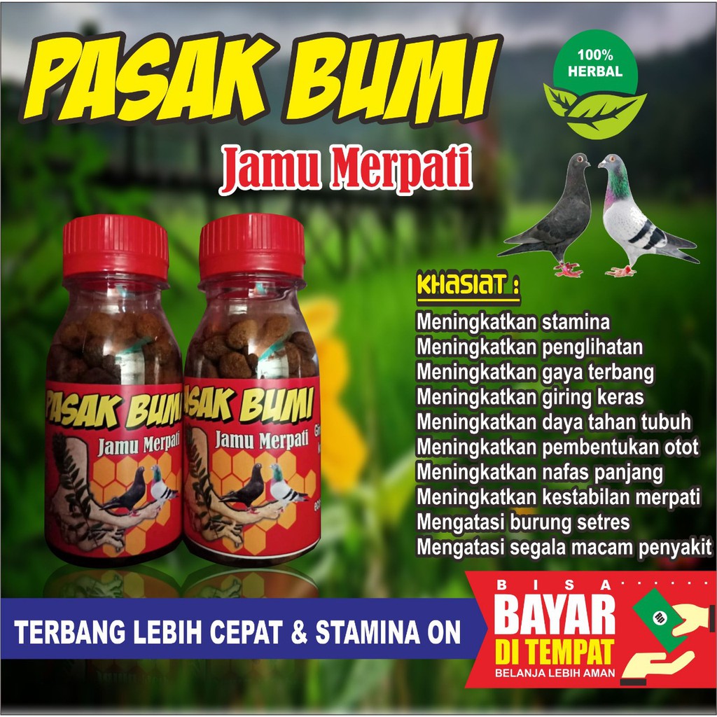 isi 100 butir JAMU MERPATI PASAK BUMI DOPING BURUNG MERPATI PIL EDAN VETAFRAM TERBUKTI KHASIIATNYA
