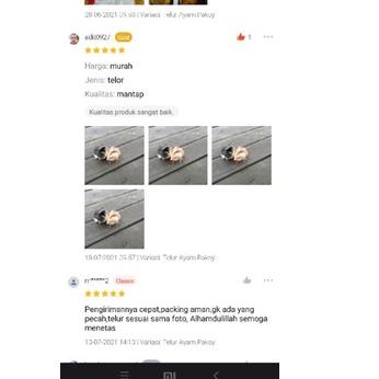 

〖3.3 Flash Sale〗 Telur fertil ayam (koytrad, koyngon) kaki besi 10kali win MALL/3.3 Flash Sale/〖3.3 Flash Sale〗/BIG SALE/Terbaru dan terlaris