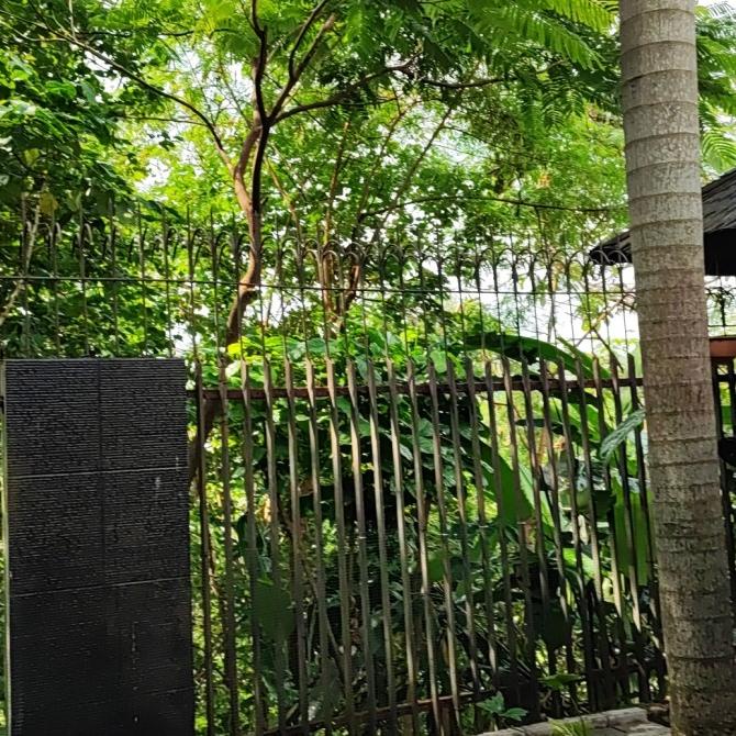 

(BISA COD) PESANAN KHUSUS PRODUK TERBATAS Kode 1025