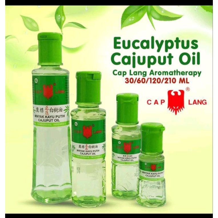 minyak kayu putih caplang 15ml