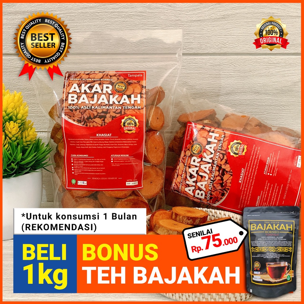 

[TERLARIS] 1Kg Akar Kayu BAJAKAH TAMPALA MERAH Siap Seduh Obat Tumor dan Kanker (100% ORIGINAL) Asli Kalimantan - BONUS 1 Bungkus Teh Bajakah