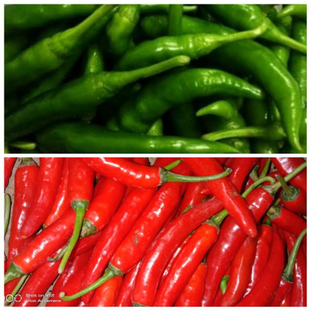 

[Bandar Sayur Jakarta] Cabe merah besar/tw merah dan tw hijau kualitas super (250gr)