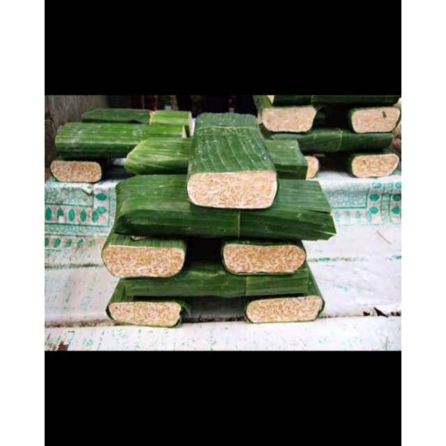 

TEMPE MENTAH Daun Segar Bogor