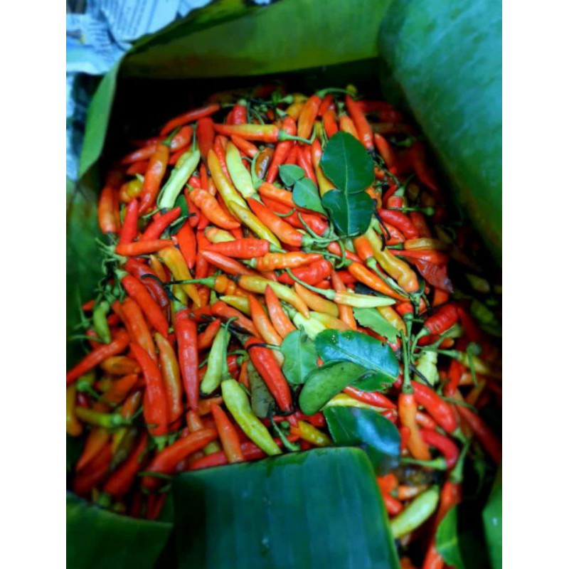 

cabe rawit merah