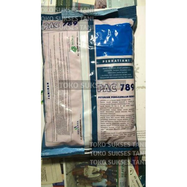FAst R3sponzh Benih jagung PAC 789 RAKSASA hibrida super dari pacific seeds isi 1kgCode.R.4.N.0.0.9