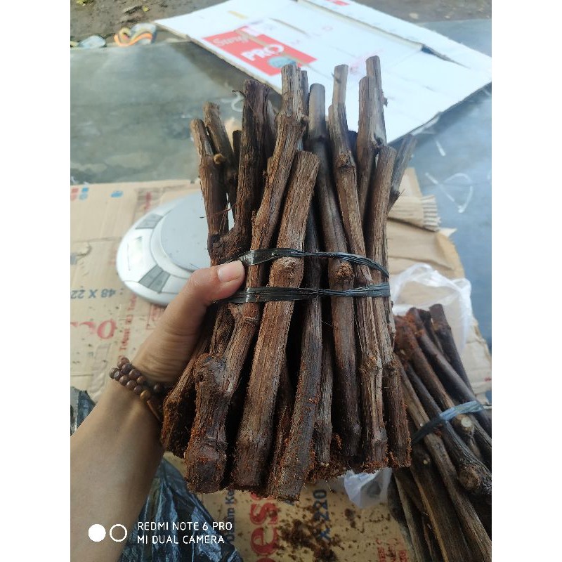 1 kg cutting frees anggur alfonso