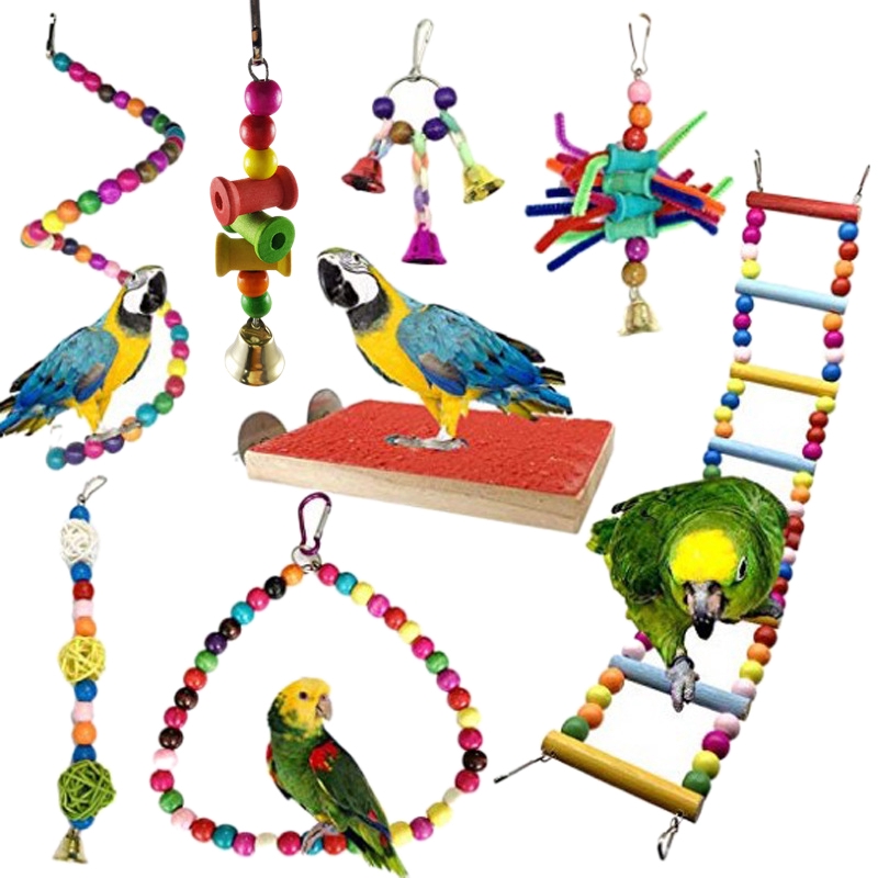 parrot cage toys