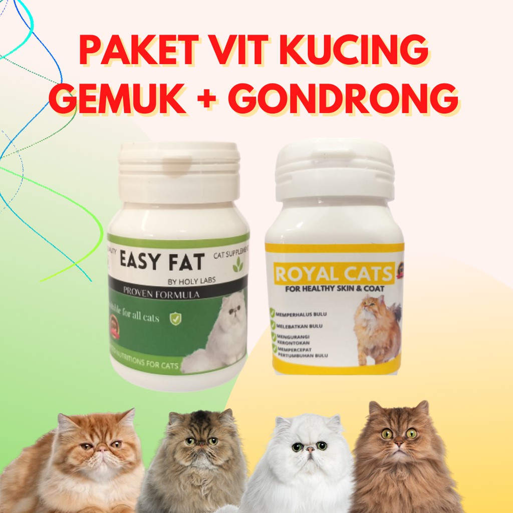 EASY FAT VITAMIN KUCING TERBAIK OBAT KUCING KURUS KUCING PERSIA KUCING ANGORA ANGGORA