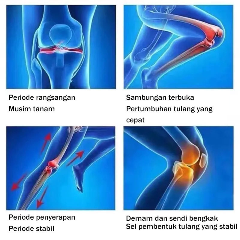 Minyak esensial pijat Oil Pertumbuhan Tinggi Pijat Perawatan Kaki Peningkatan Pertumbuhan Tulang Peninggi Badan 15ml x2 perkembangan kaki sekunder