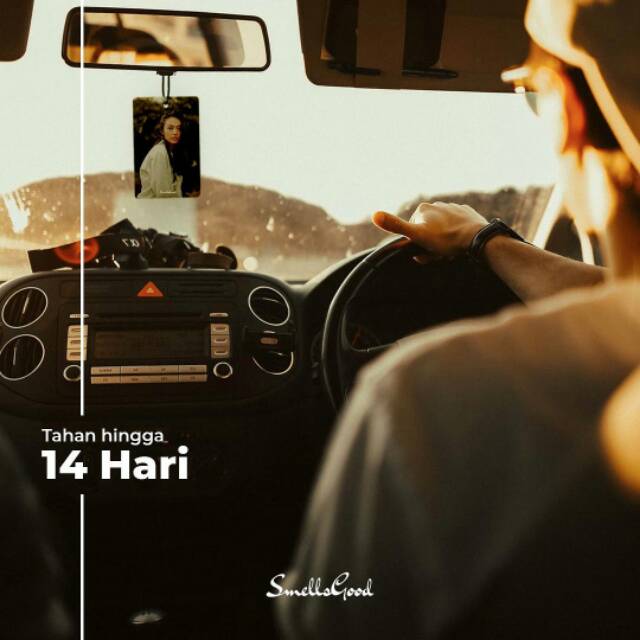 Air Freshener (Pewangi mobil/Ruangan)