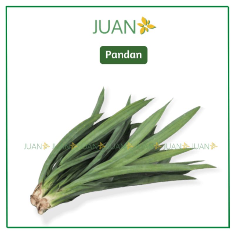 

Daun Pandan 1 Ikat - Juan Freshmart
