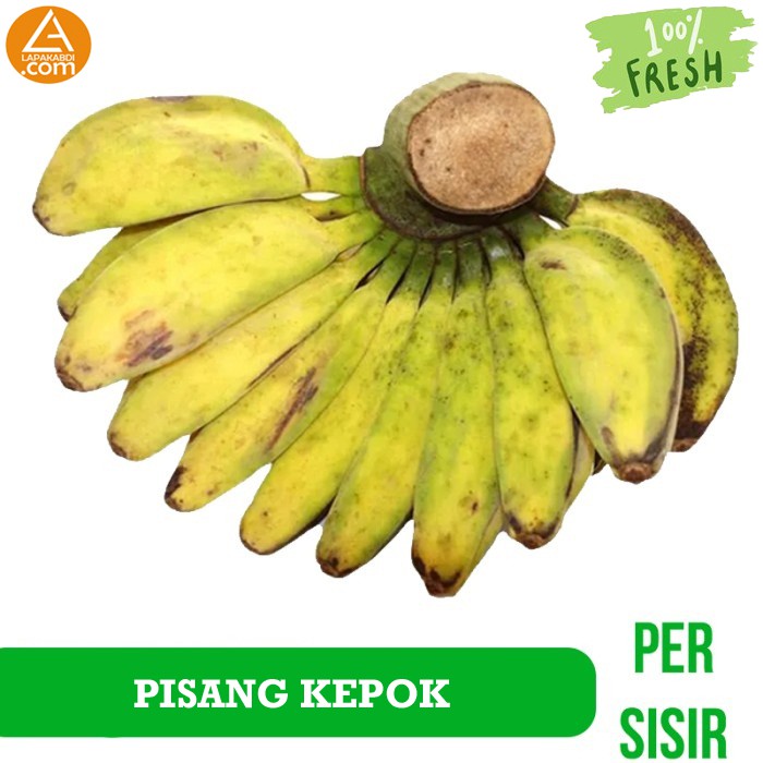 

Buah Pisang Kepok 1 Sisir Buah Segar Buahan Manis Garansi Termurah