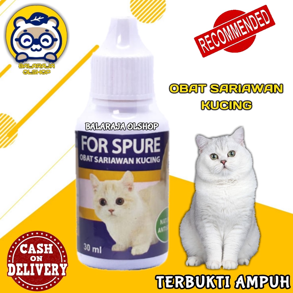 OBAT KUCING SARIAWAN | BAU MULUT | AIR LIUR BERLEBIHAN  NATURAL SEPTIC - FOR SPURE