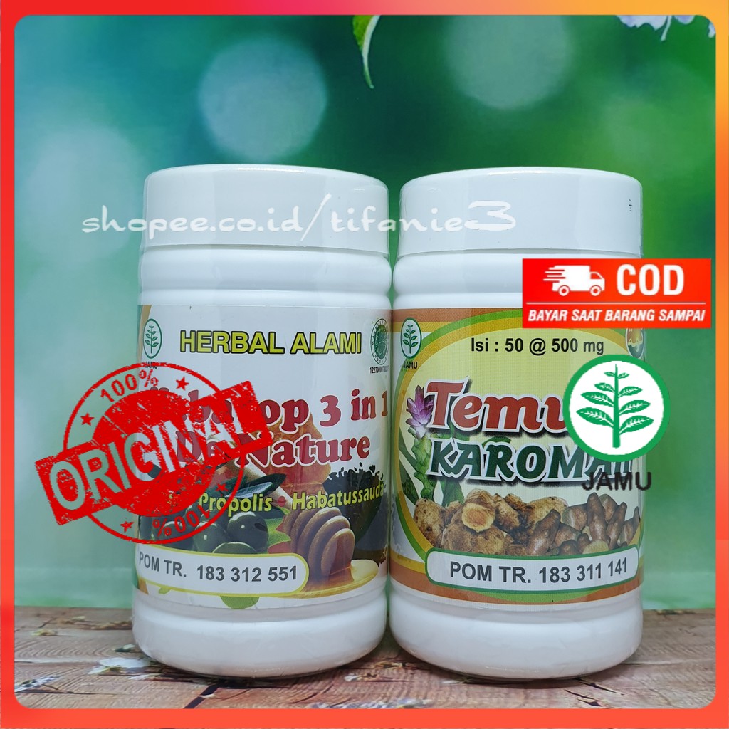 

Obat Liver Herbal Obat Hepatitis Herbal Temujie Dan Habatop 3in1 De Nature