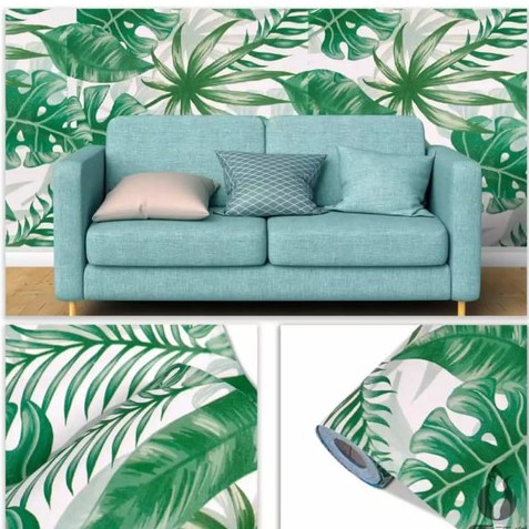 Wallpaper Dinding Motif Monstera / 10Meter Bahan PVC Anti Air / Solusi Dekorasi