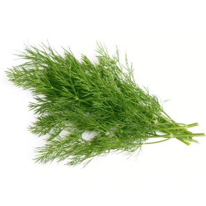 

Dil/Dill (Adas sowa) /250gr #Segar #Online #Bandung #Cimahi