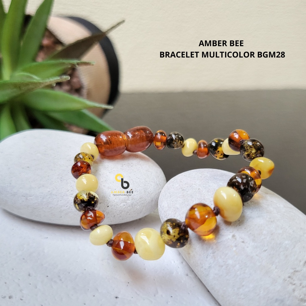 Gelang Amber Bayi Anak Premium Glossy Multicolor BGM028 By Amber Bee