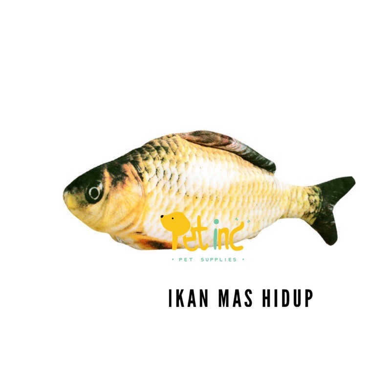 Ikan mas ikan nila hidup kleper kleper