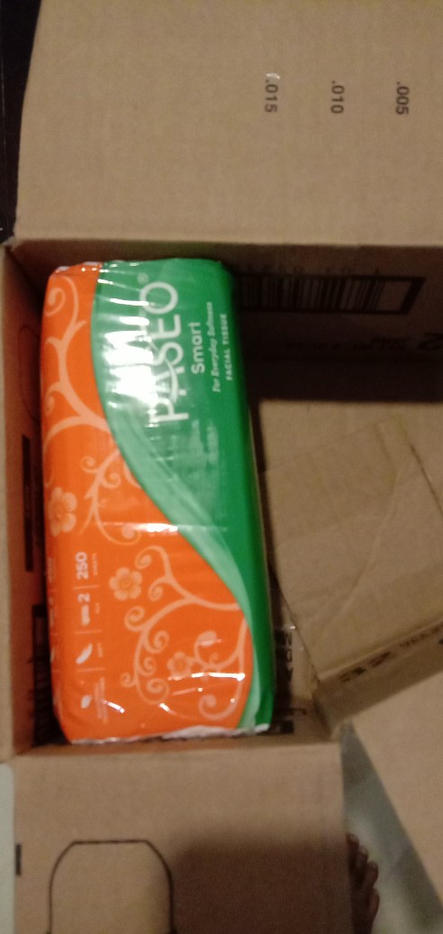 Tissue Paseo Smart 250 Sheet 2 Ply