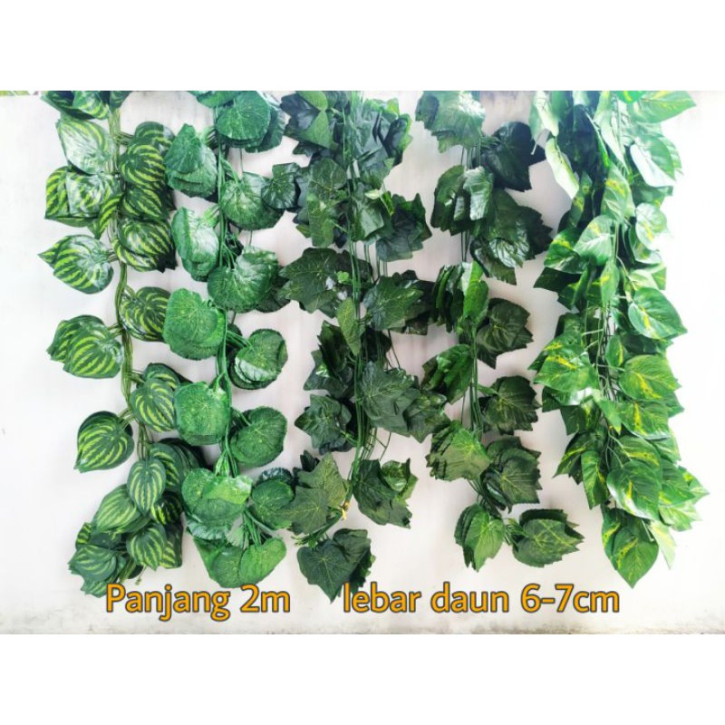 Daun Rambat Plastik Daun Besar 6-7cm Panjang 200cm Dekorasi