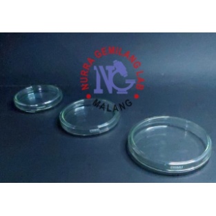 Paling Laris Petridish Kaca | Cawan Petri Kaca 80x15 mm Iwaki