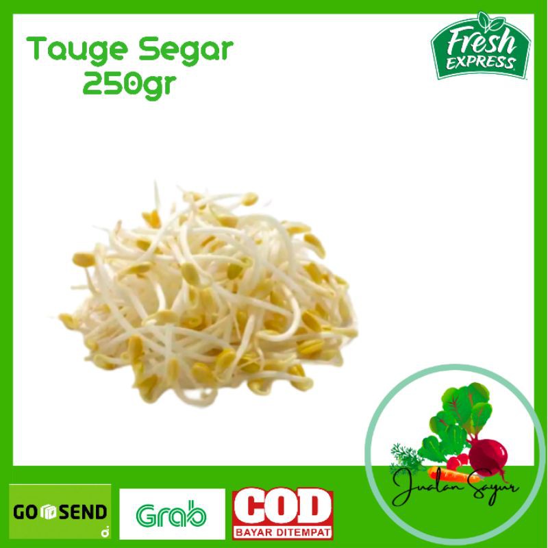 

Tauge Sayuran Segar Murah 250 gram