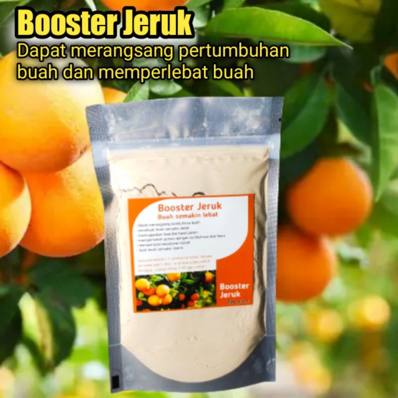 booster jeruk perangsang buah jeruk pupuk buah jeruk
