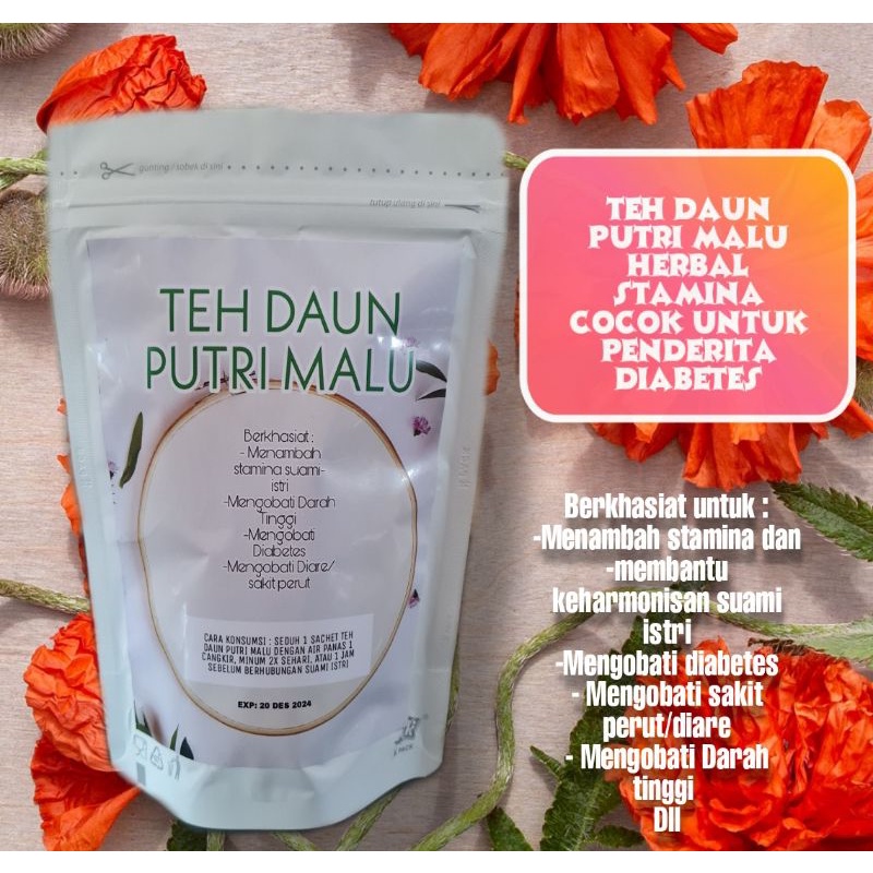 TEH DAUN PUTRI MALU HERBAL STAMINA PRIA COCOK UNTUK PENDERITA DIABET