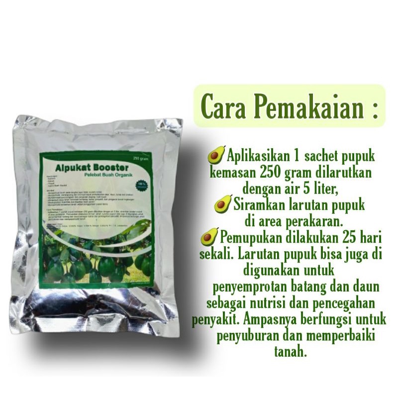 Pupuk Pelebat Buah Alpukat Pupuk Organik Pemicu Pembungaan dan Pembuahan Alpukat dan Booster Alpukat Agar Lebih Lebat Pembuahannya