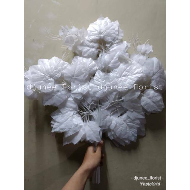 DAUN ANGGUR PUTIH ..