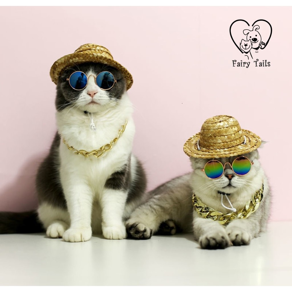 Rantai Kucing Anjing Kostum Cosplay Anabul Anjing Kucing Kalung Rantai Emas Swag Fashionable | Pet Gold Chain Necklace