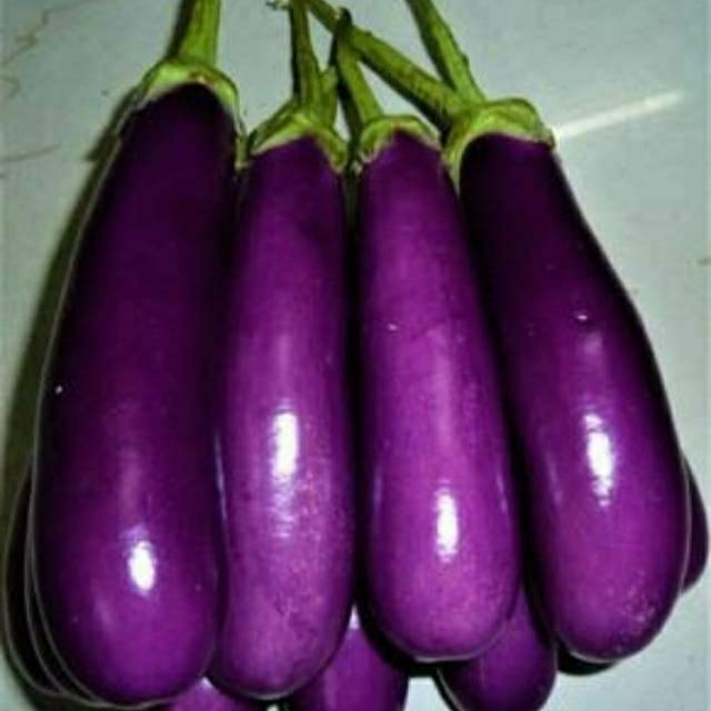

Terong sayur