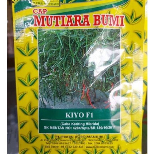 CABAI KIYO F1