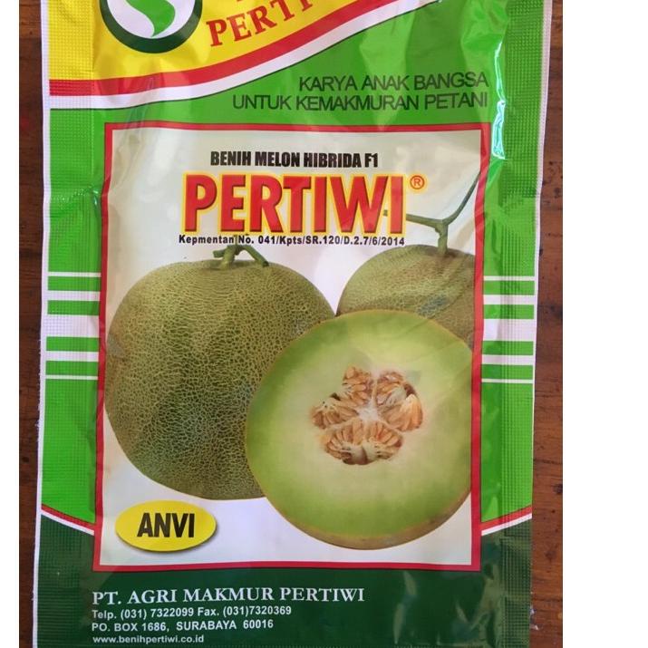 READY ✅Benih Bibit Melon Pertiwi Anvi|KD3