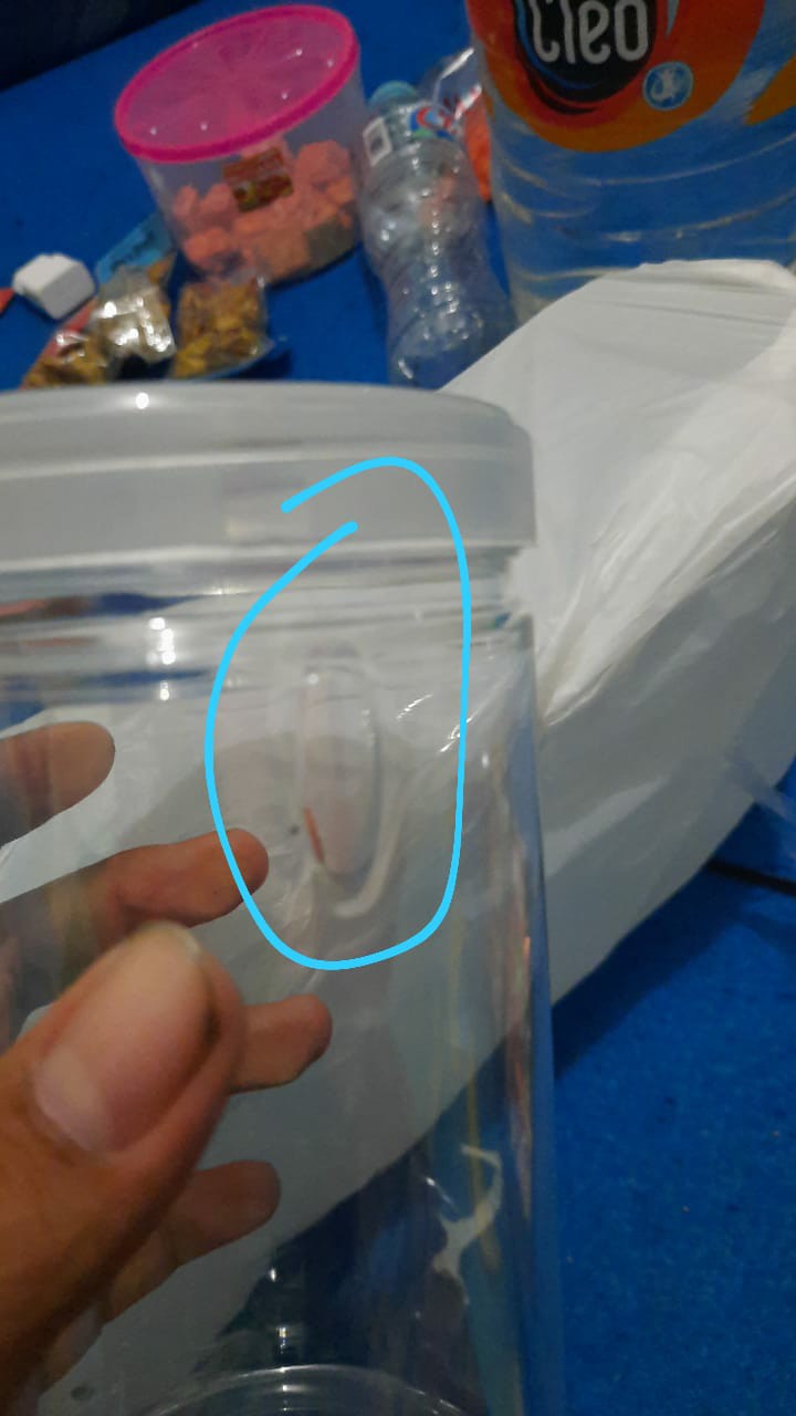 Toples Tabung Pet 1 Liter Untuk Snack Kue Kering Kripik (1 Pcs)