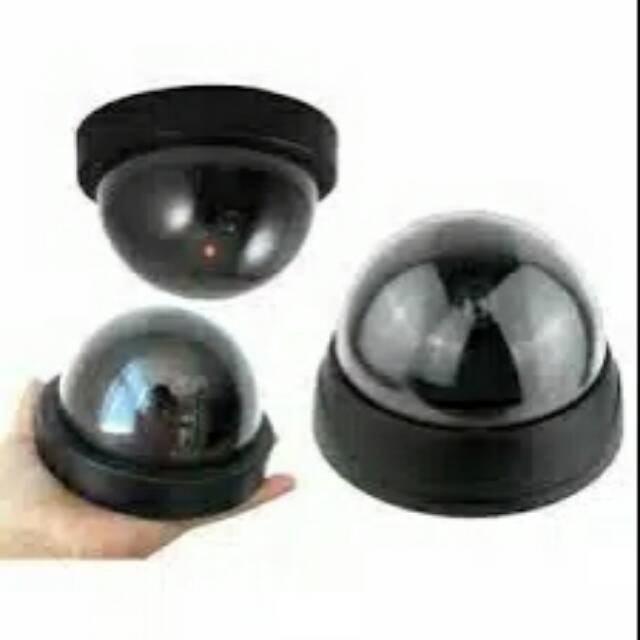 Camera cctv palsu