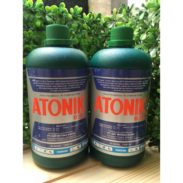 Zat Pengatur Tumbuh (ZPT) Atonik 6,0 L 1 liter