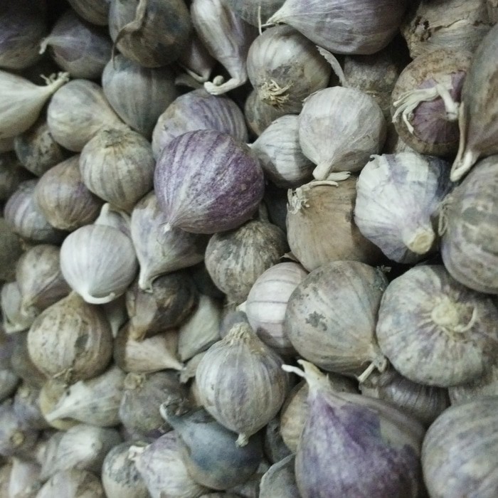 

BAWANG PUTIH TUNGGAL IMPORT