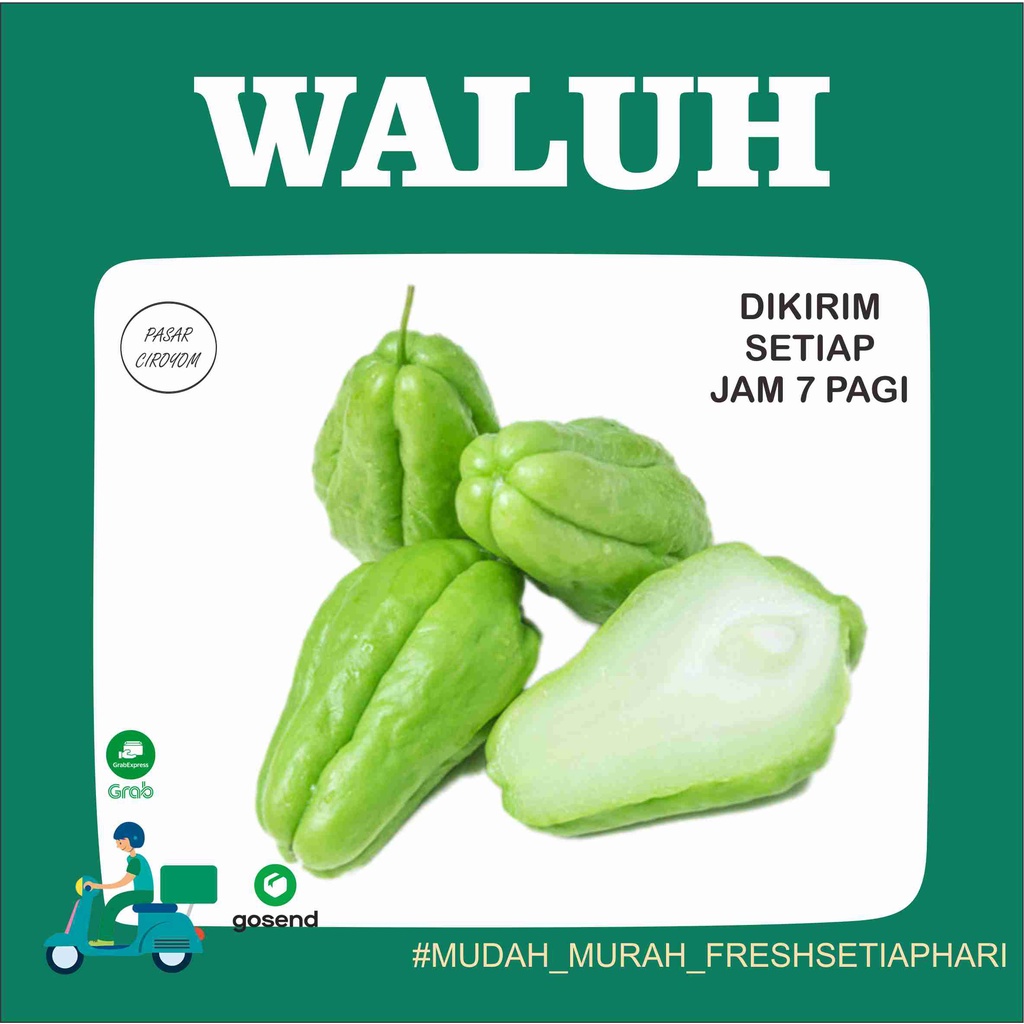 

LABU SIAM KECIL WALUH KECIL LEJET FRESH MURAH BANDUNG 1KG