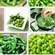 

Edamame Fresh (organik) 1 kg (F.18)