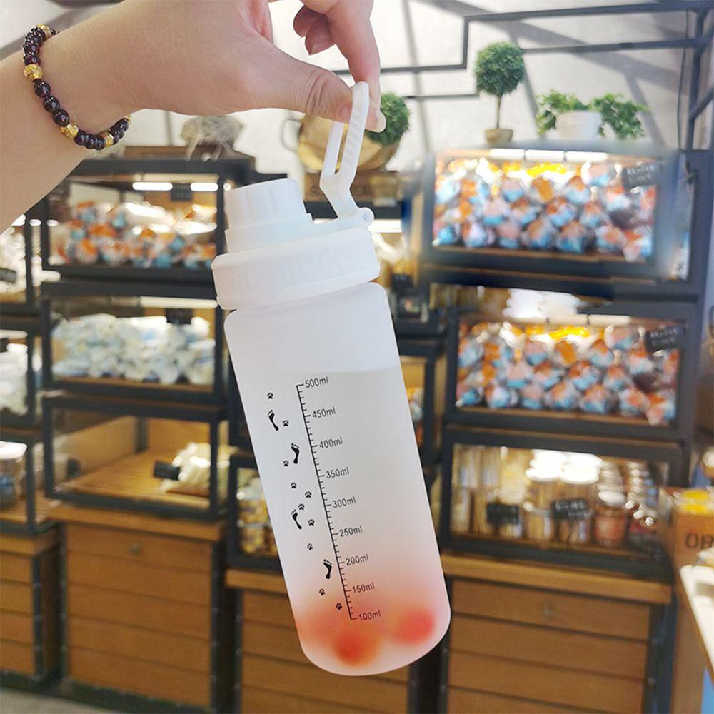 Top 500ml Frosted Water Bottle Travel Portable Dengan Sedotan Botol Minum