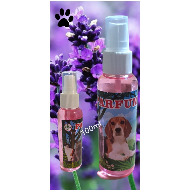 parfum kucing /anjing lavender 100ml