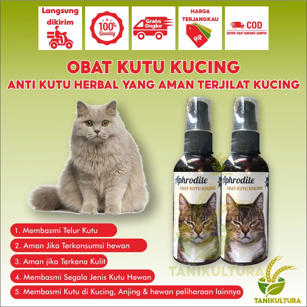 Obat Kutu Kucing Spray Ampuh Mengatasi Kutu Dan Telur Kutu Semprot Aman Jika Terjilat Kucing Kitten