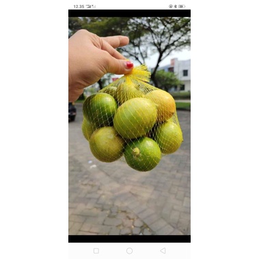 

jeruk lemon lokal 1kg