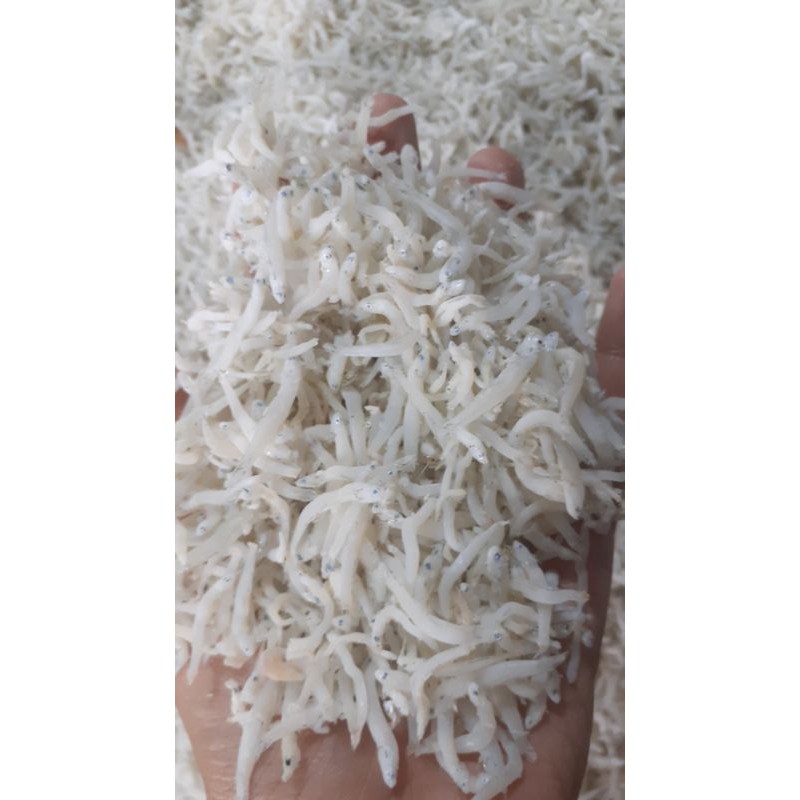 

Teri Medan kualitas grade A 1 kg.