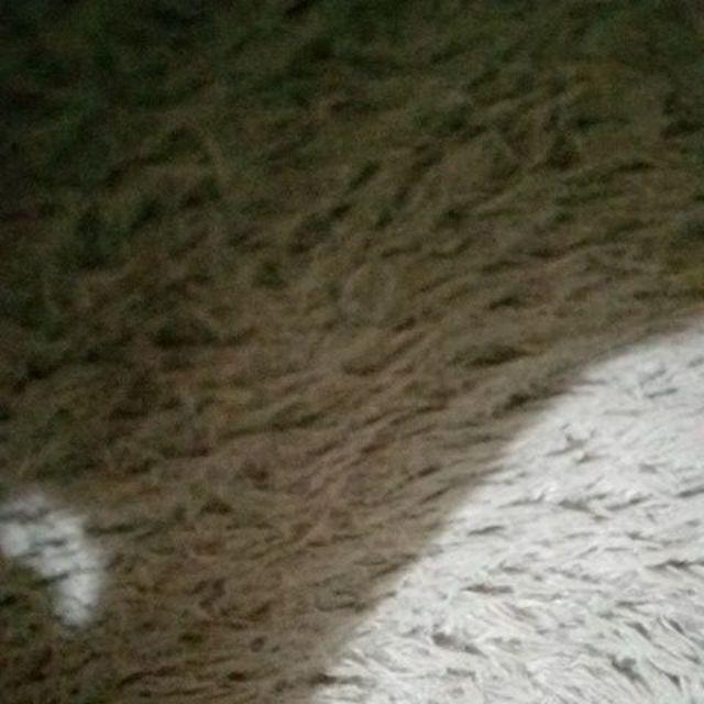 Selimut Internal Manchester United M.u Ukuran 160x200