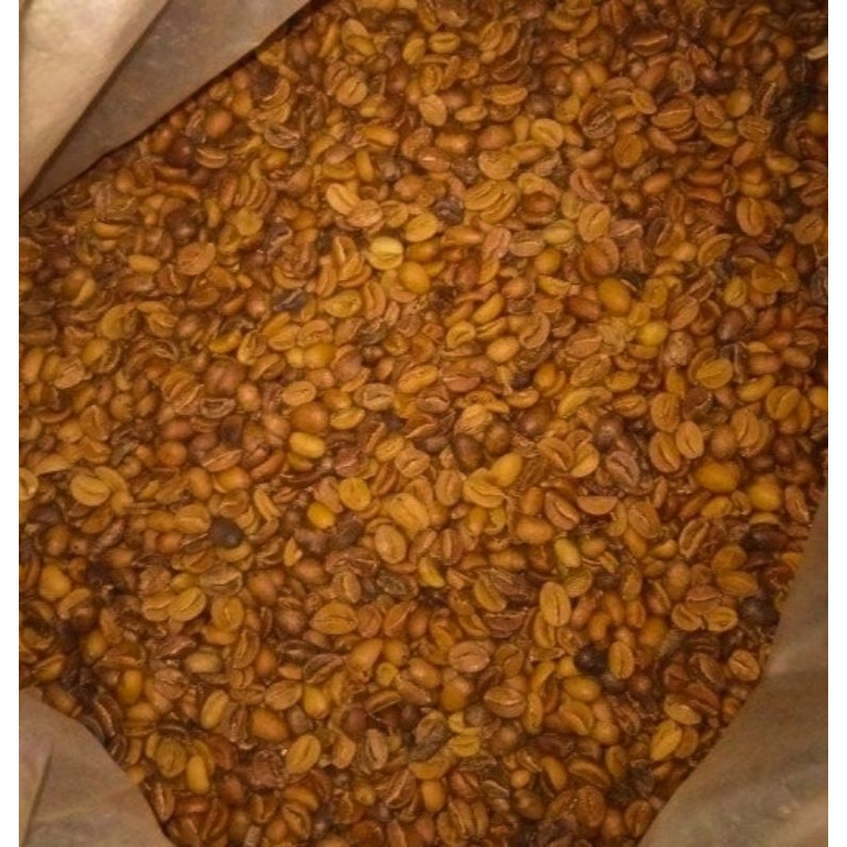 

Green Bean Arabika Wine 1kg Kopi Slukatan wonosobo