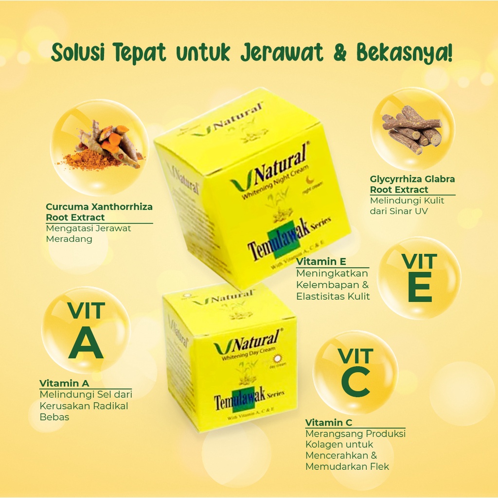 V NATURAL WHITENING DAY CREAM TEMULAWAK 20GR (N005346)