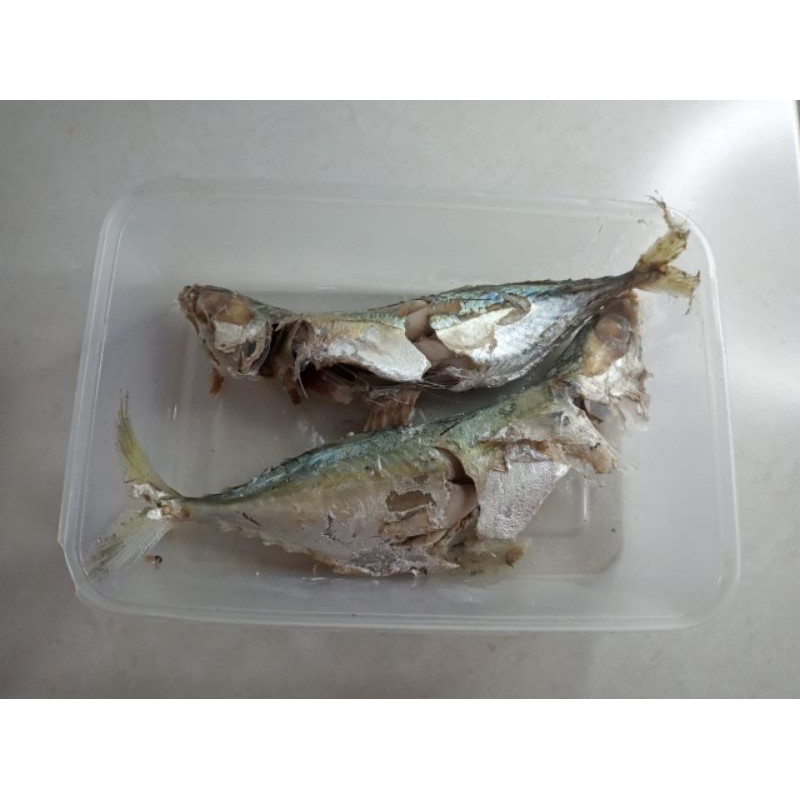 

pindang ikan rebus